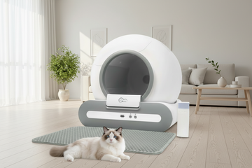 Why a Self-Cleaning Litter Box Will Change Your Life