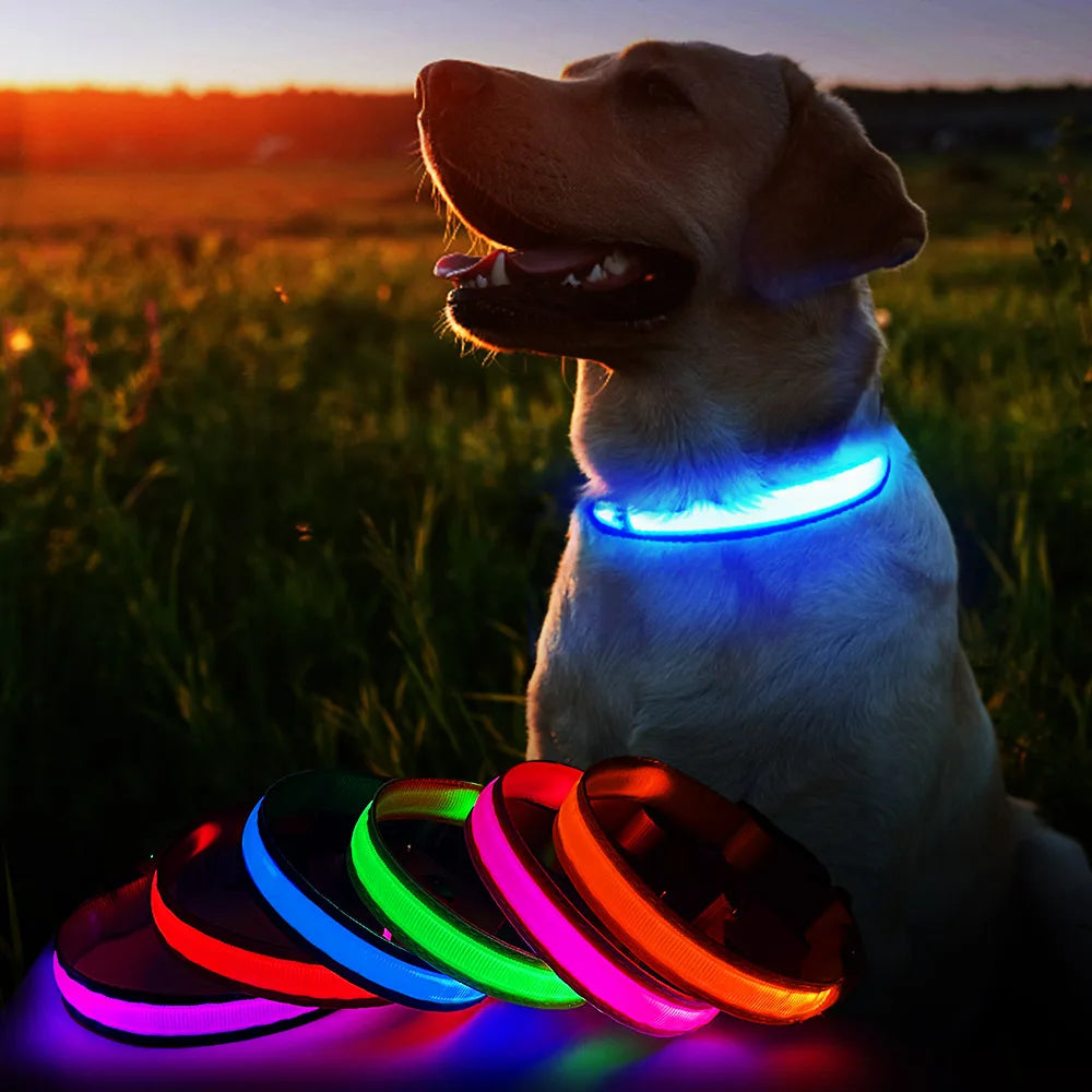 Glow Safe LED Collar